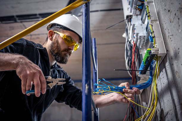 Best Local Electrician Companies  in Bovina, TX